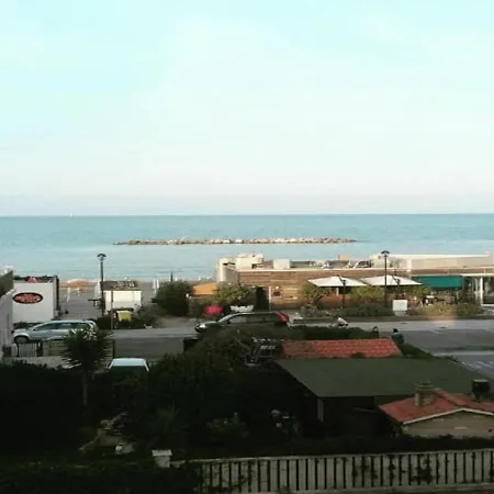 Galletto Porto San Giorgio