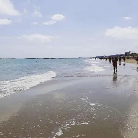 Galletto Porto San Giorgio